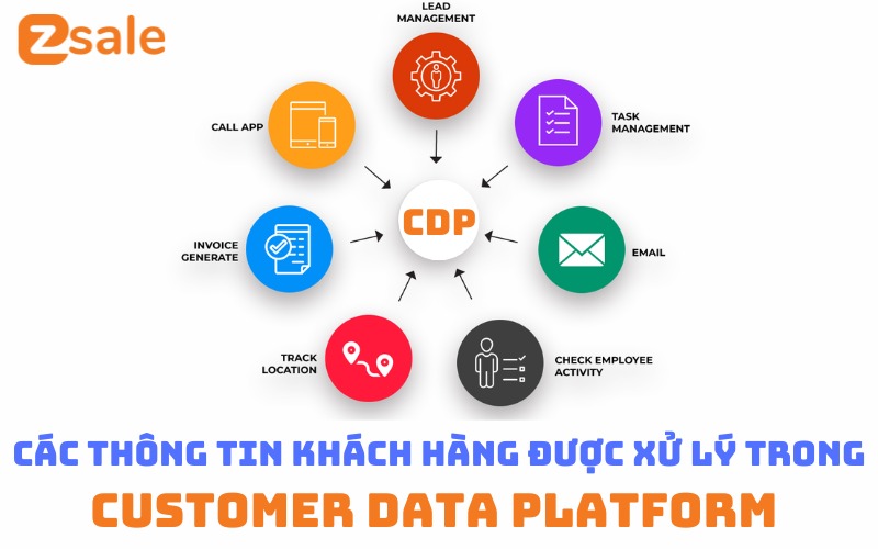 Các Thông Tin Khách Hàng Được Xử Lý Trong Customer Data Platform (CDP) Là Gì?