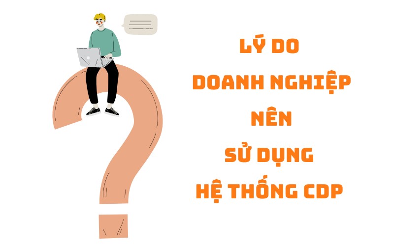 ly-do-doanh-nghiep-nen-su-dung-he-thong-cdp
